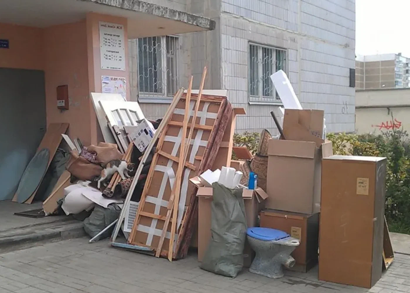Профессиональный вывоз мусора из квартиры в Горячем Ключе в октябре