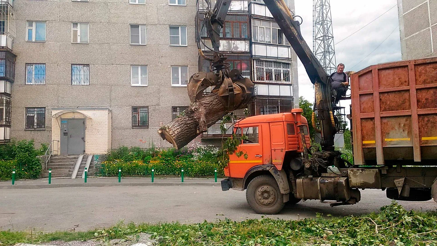 Вывоз спиленных веток и деревьев в Горячем Ключе от ПроМусор: порубочные остатки, утилизация, цена от 2997 руб