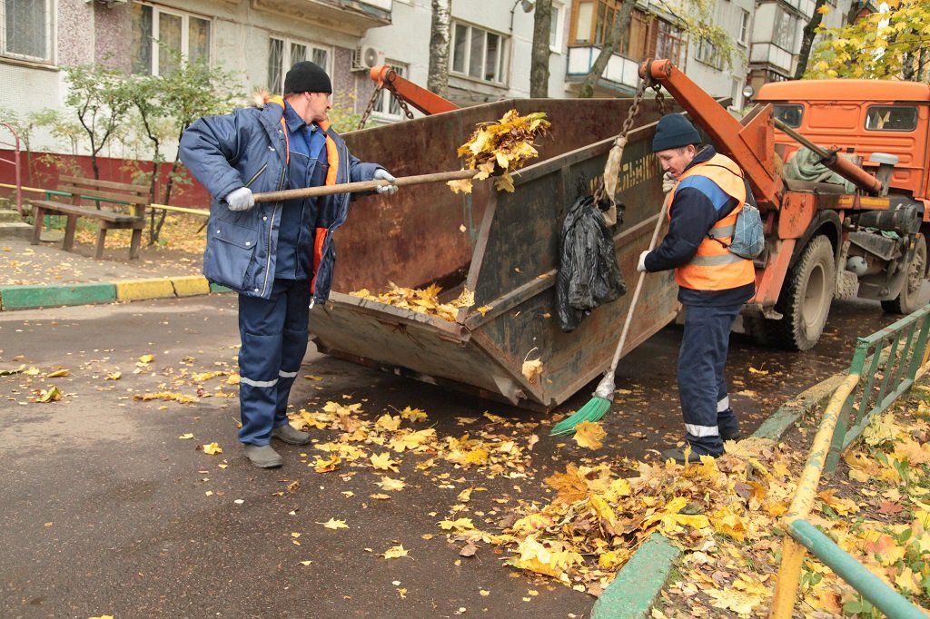 Вывоз опавшей листвы и растительного мусора в Горячем Ключе от ПроМусор – цена от 4650 руб., быстрая уборка и утилизация